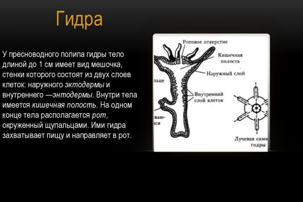 Блэк спрут ссылка blacksprul me