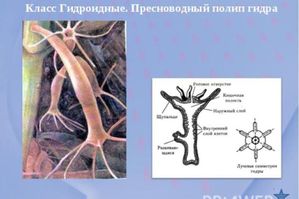 Блэкспрут как покупать