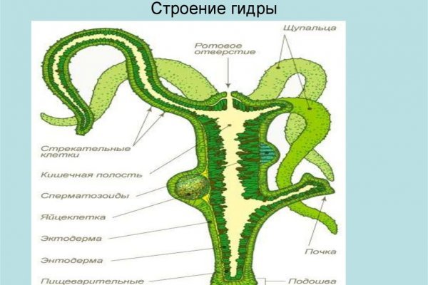 Black sprut реклама в москве